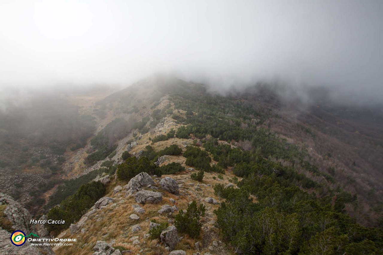 20_Verso il monte Nero.JPG